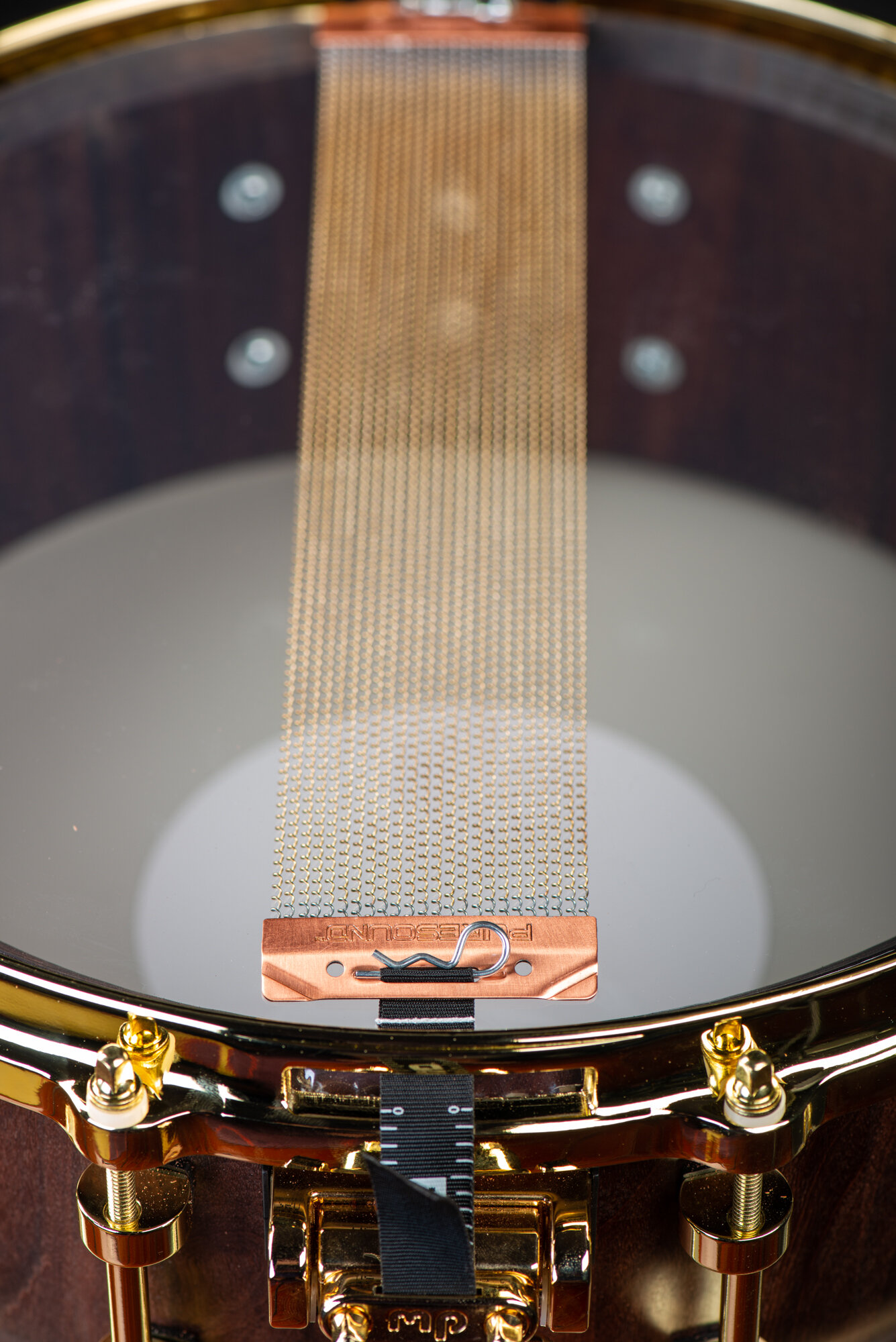 Underside of a dark wood snare drum featuring polished gold hardware and PureSound snare wires across a clear head.