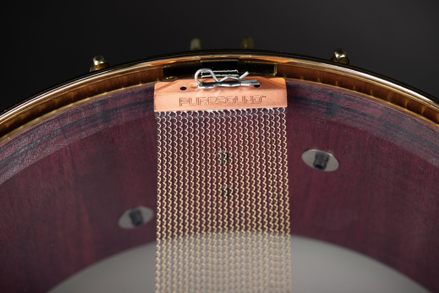 PureSound snare wires mounted to the bottom of a matte purpleheart wood drum shell with a polished brass hoop.