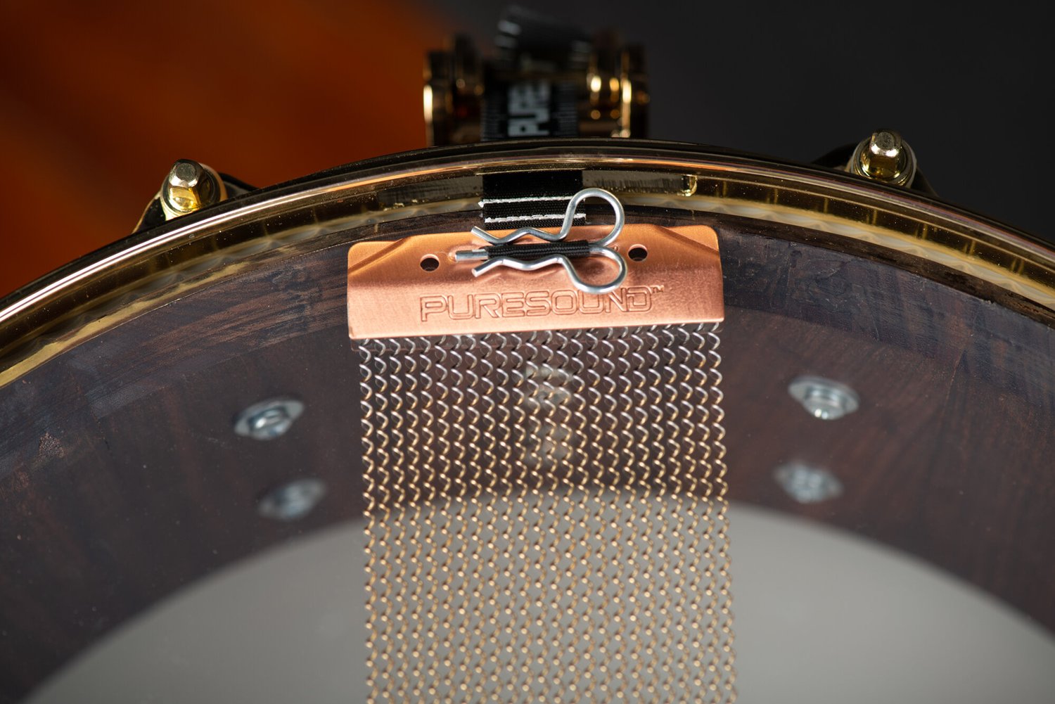 PureSound snare wires mounted on a dark wood drum shell featuring a polished brass hoop and quick-release clip.