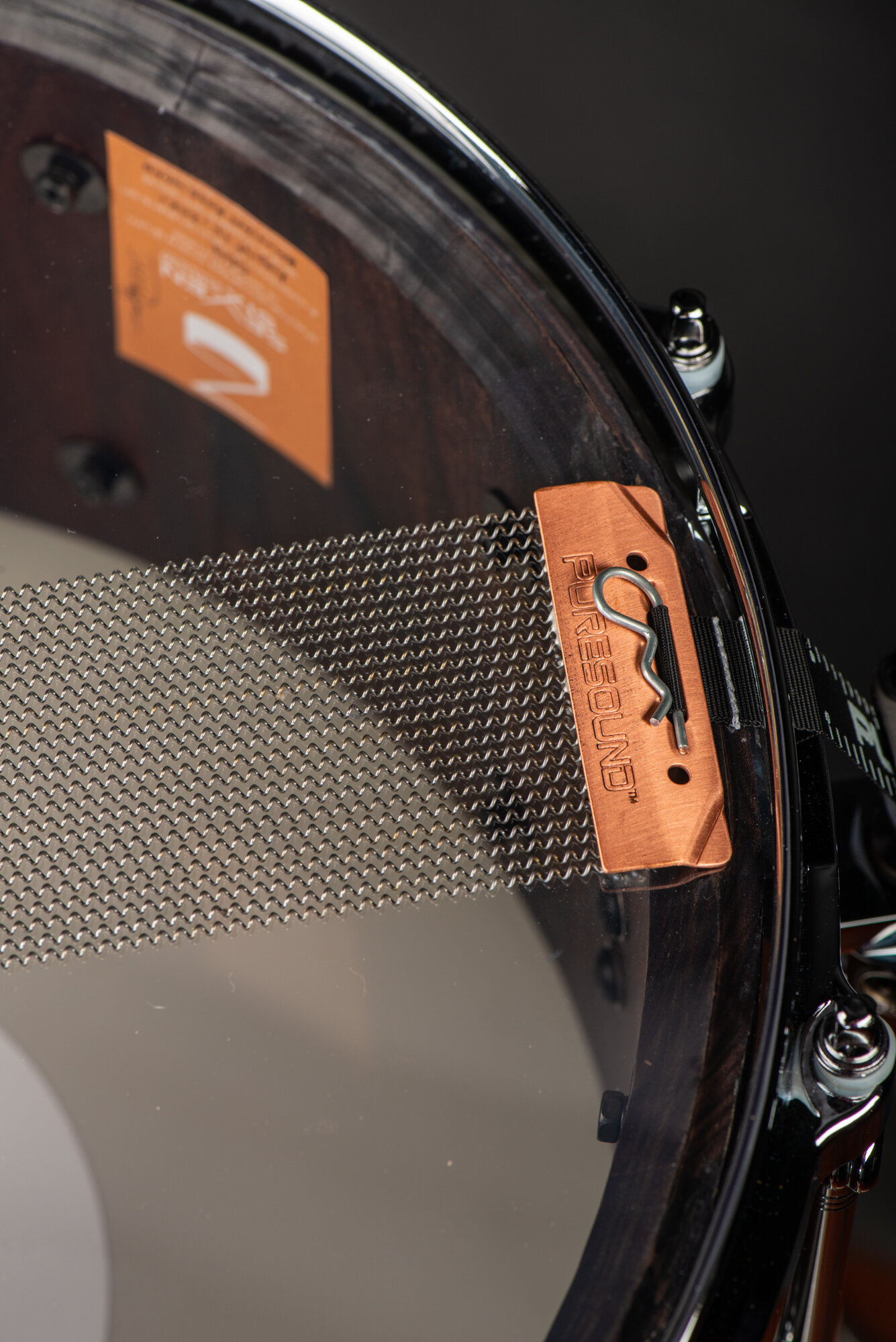 Bottom of a dark wood snare drum featuring a black hoop and PureSound snare wires with a copper end plate.